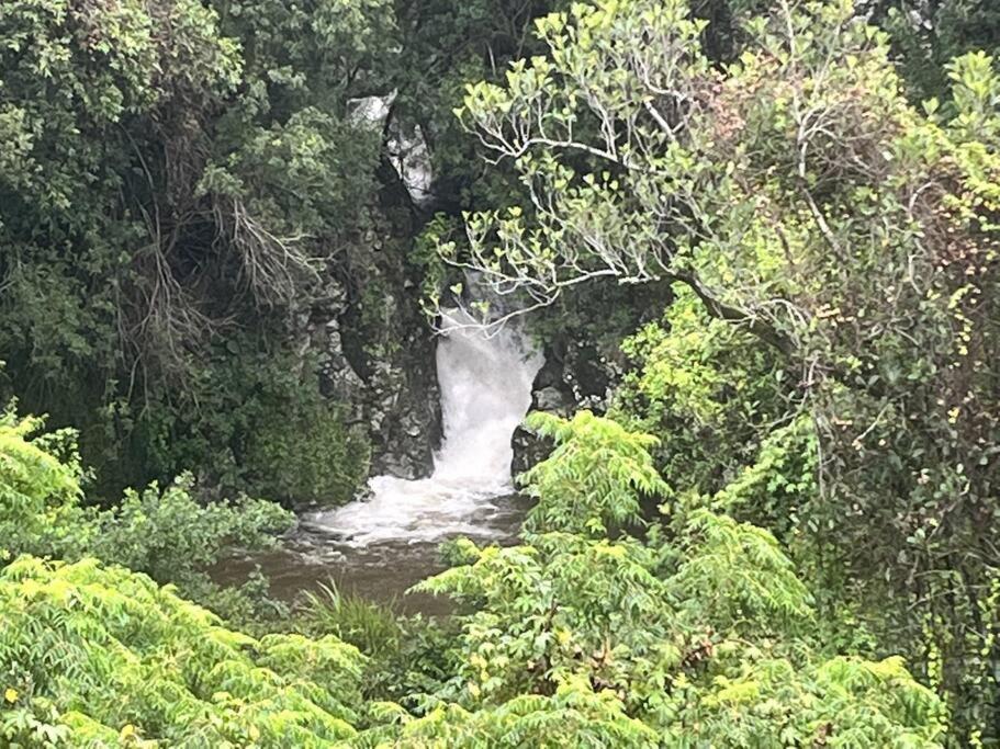 "La Ravine" Prive, Luxe, Avec Une Vue Unique Saint-Joseph Eksteriør billede